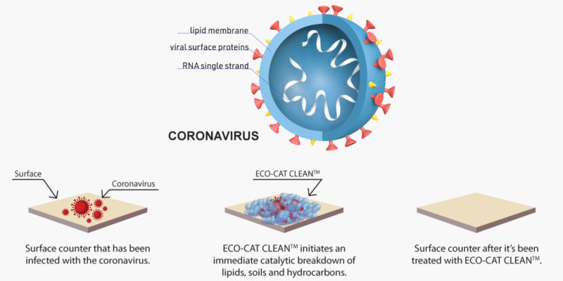 Bio-Catalytic Enhanced Cleaning Protocol For Coronavirus/COVID-19 Sanitation