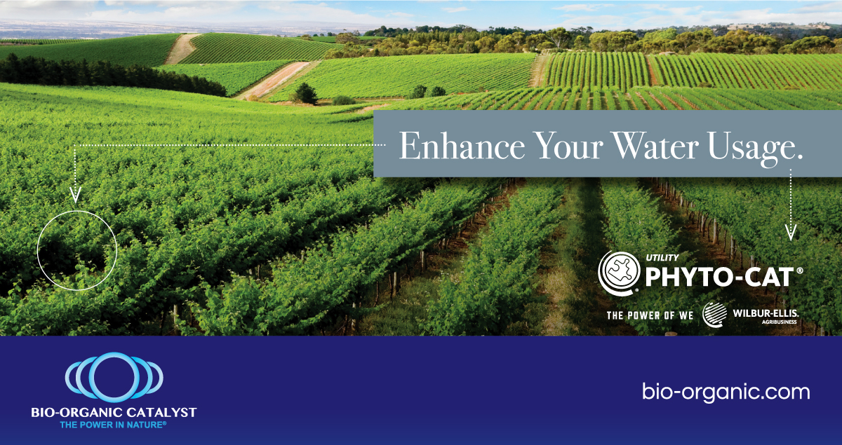 Catalyst, Inc. has entered into a distribution agreement with one of America's