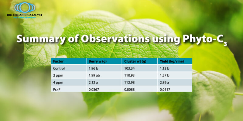 Summary Of Observations Using Phyto-C3