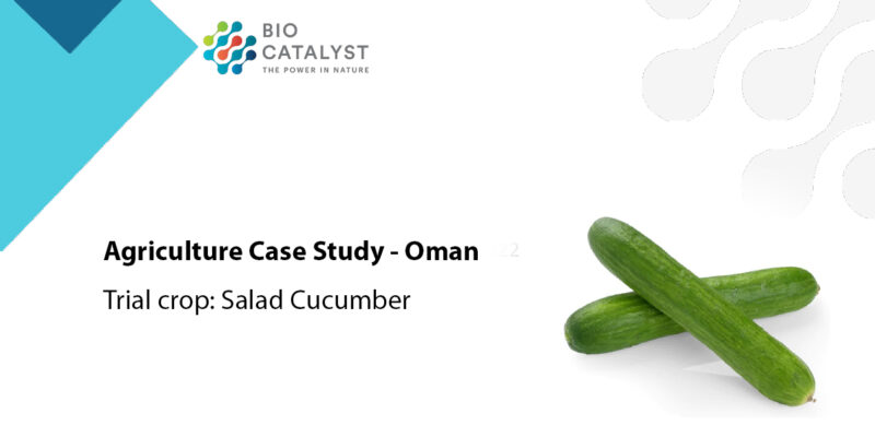 Agriculture Case Study, Trial Crop - Salad Cucumber