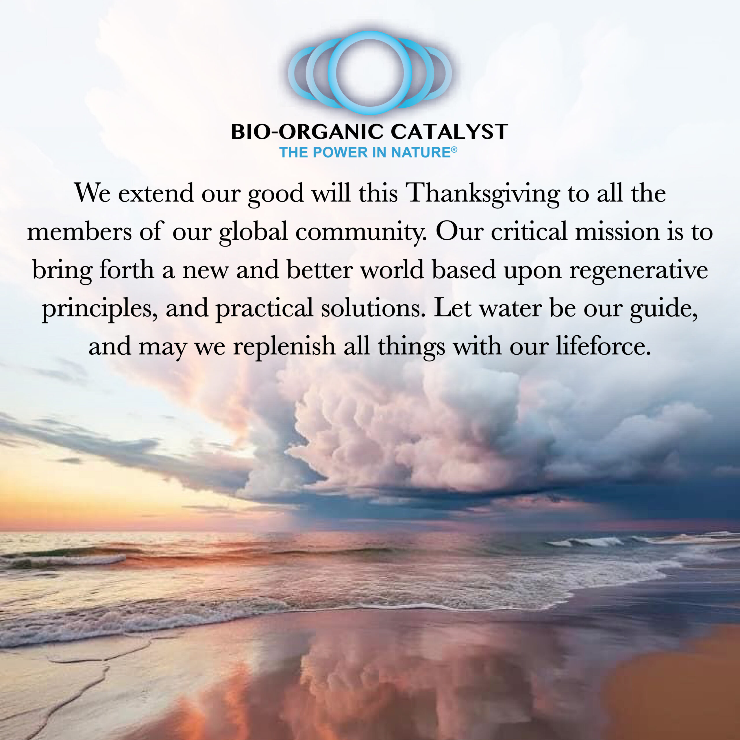 Bio-Organic Catalyst Happy Thanksgiving 2023