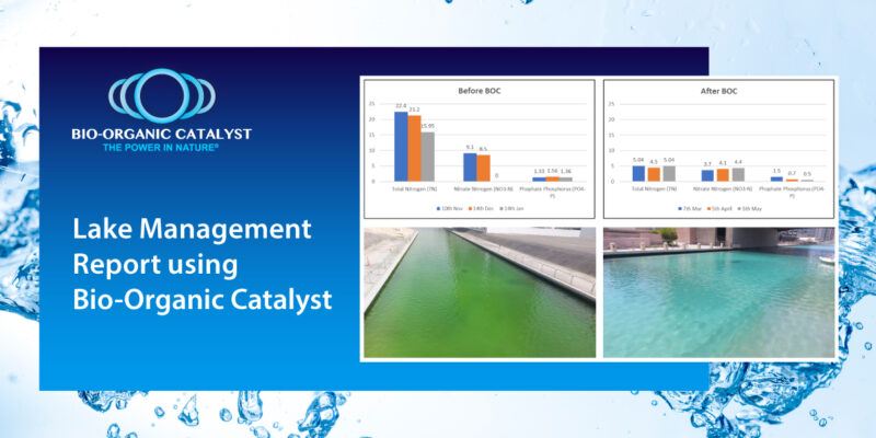 Lake Management