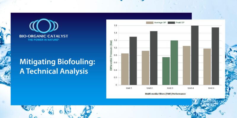 Mitigating Biofouling, A Technical Analysis