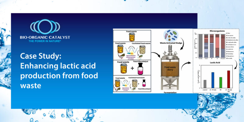 Turning Food Waste into Value: Boosting Lactic Acid with Cavitation & Biocatalysts