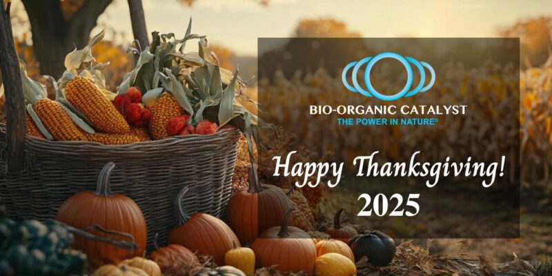 Happy Thanksgiving 2025