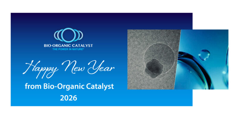 Happy New Year, From Bio-Organic Catalyst