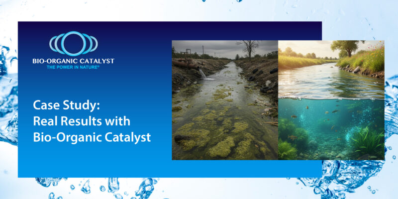 Seeing is Believing: Real Results with Bio Organic Catalyst