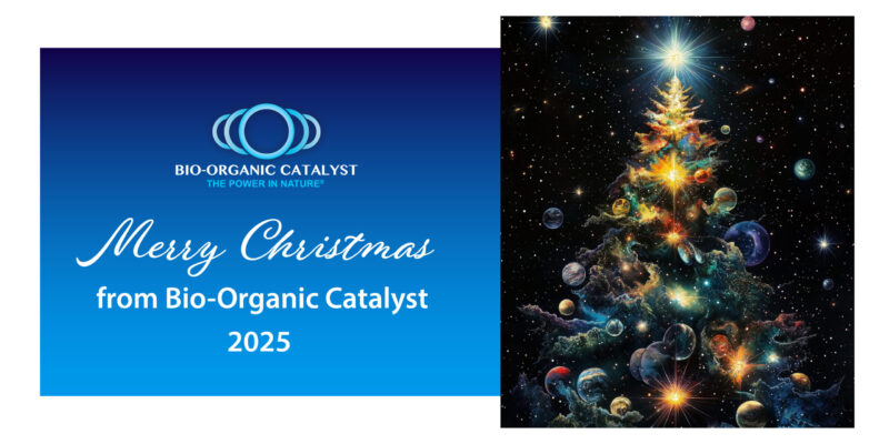 Merry Christmas, From Bio-Organic Catalyst