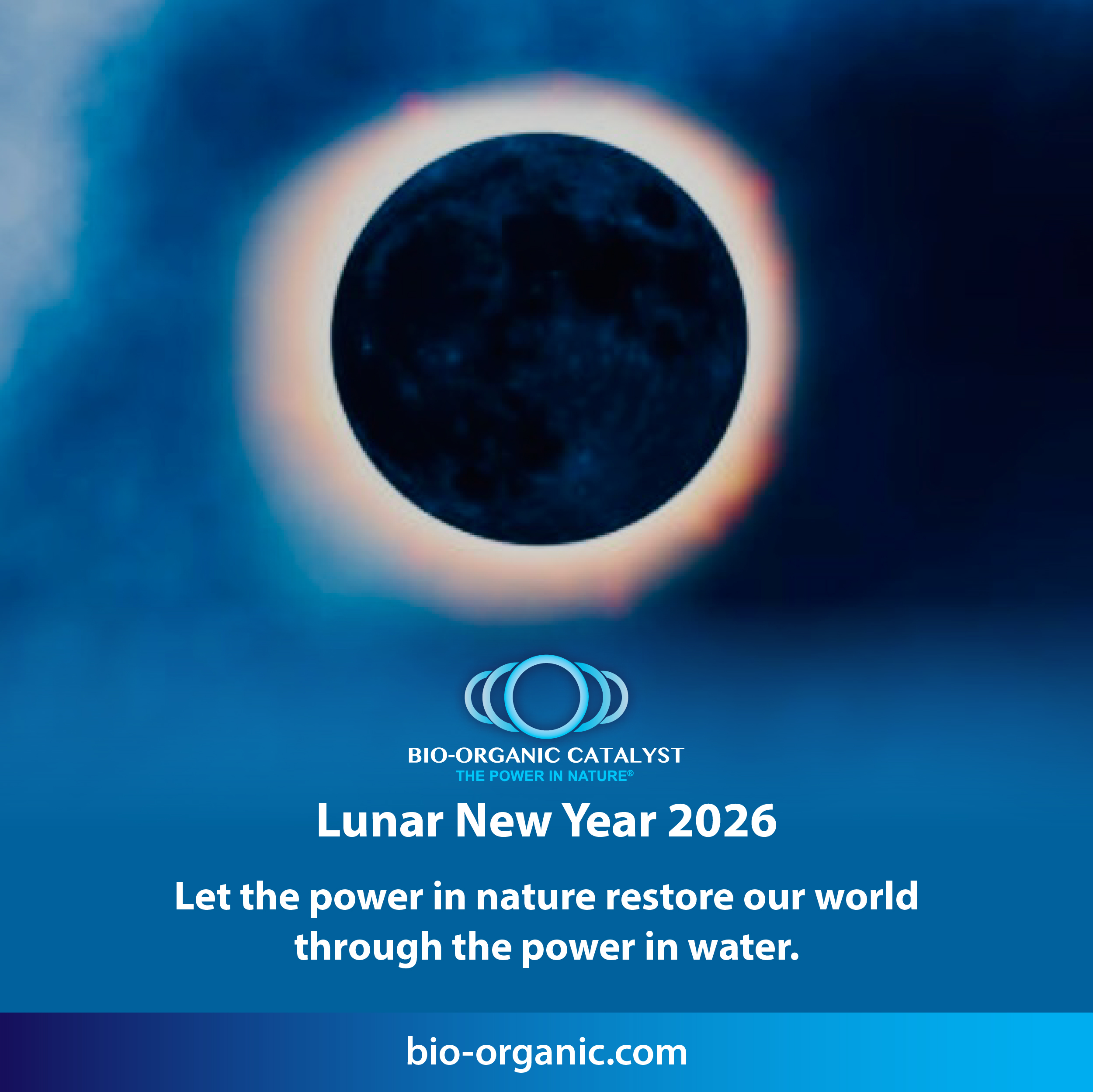 Lunar New Year 2026