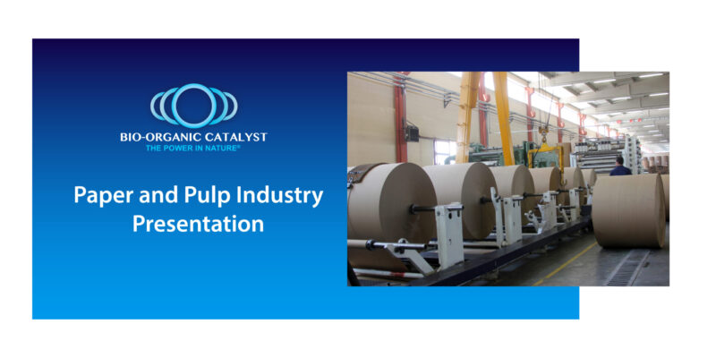 Paper and Pulp Presentation