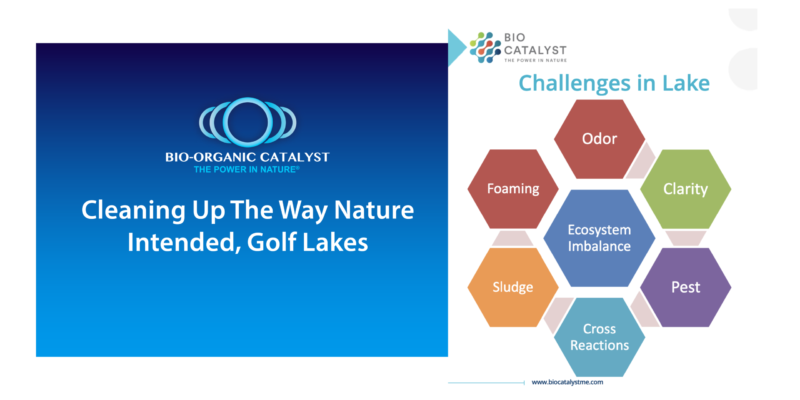 Cleaning Up The Way Nature Intended, Golf Lakes